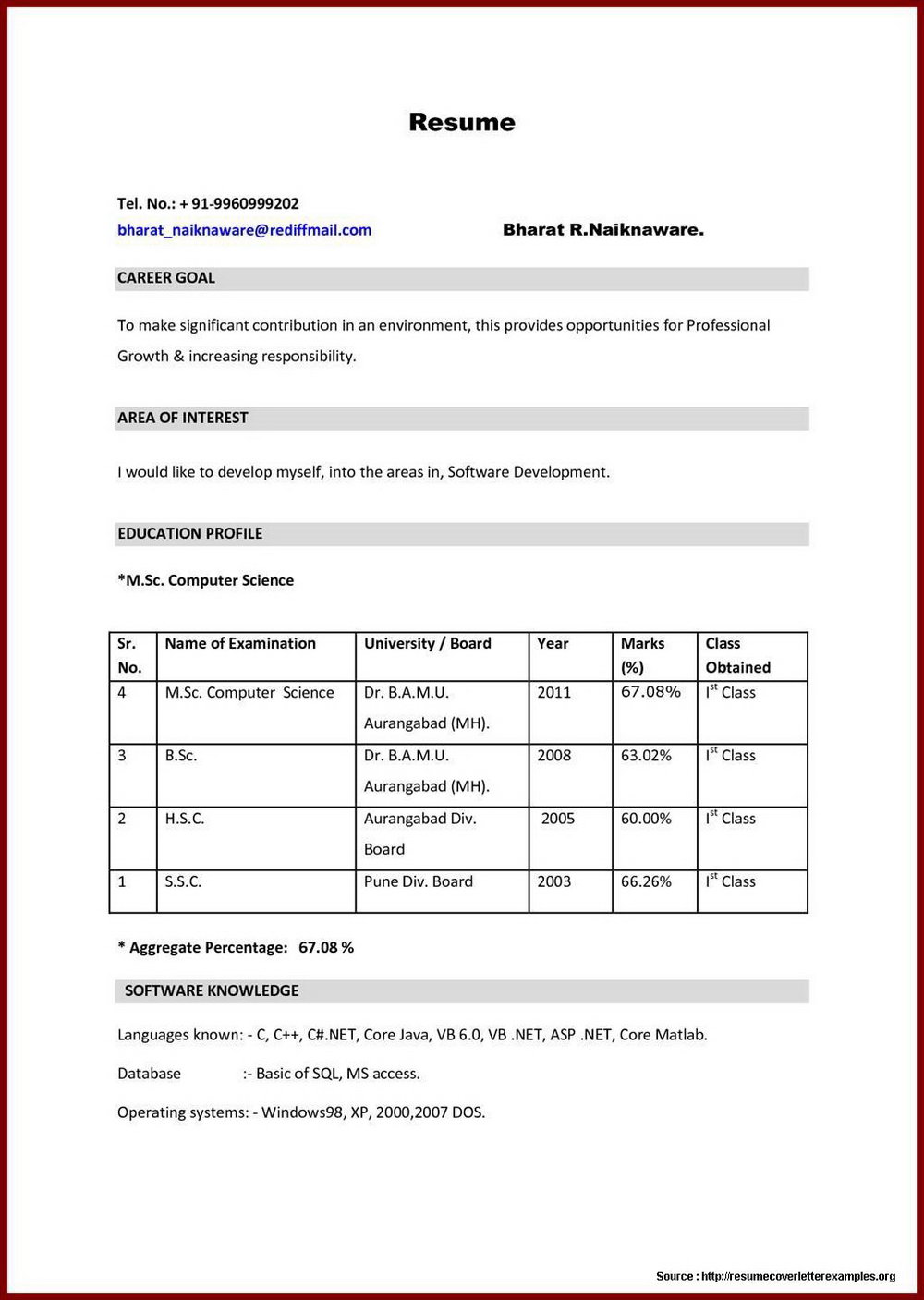 resume format in english pdf